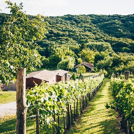 Dutch Hill Panzió Zalacsány Kültér fotó