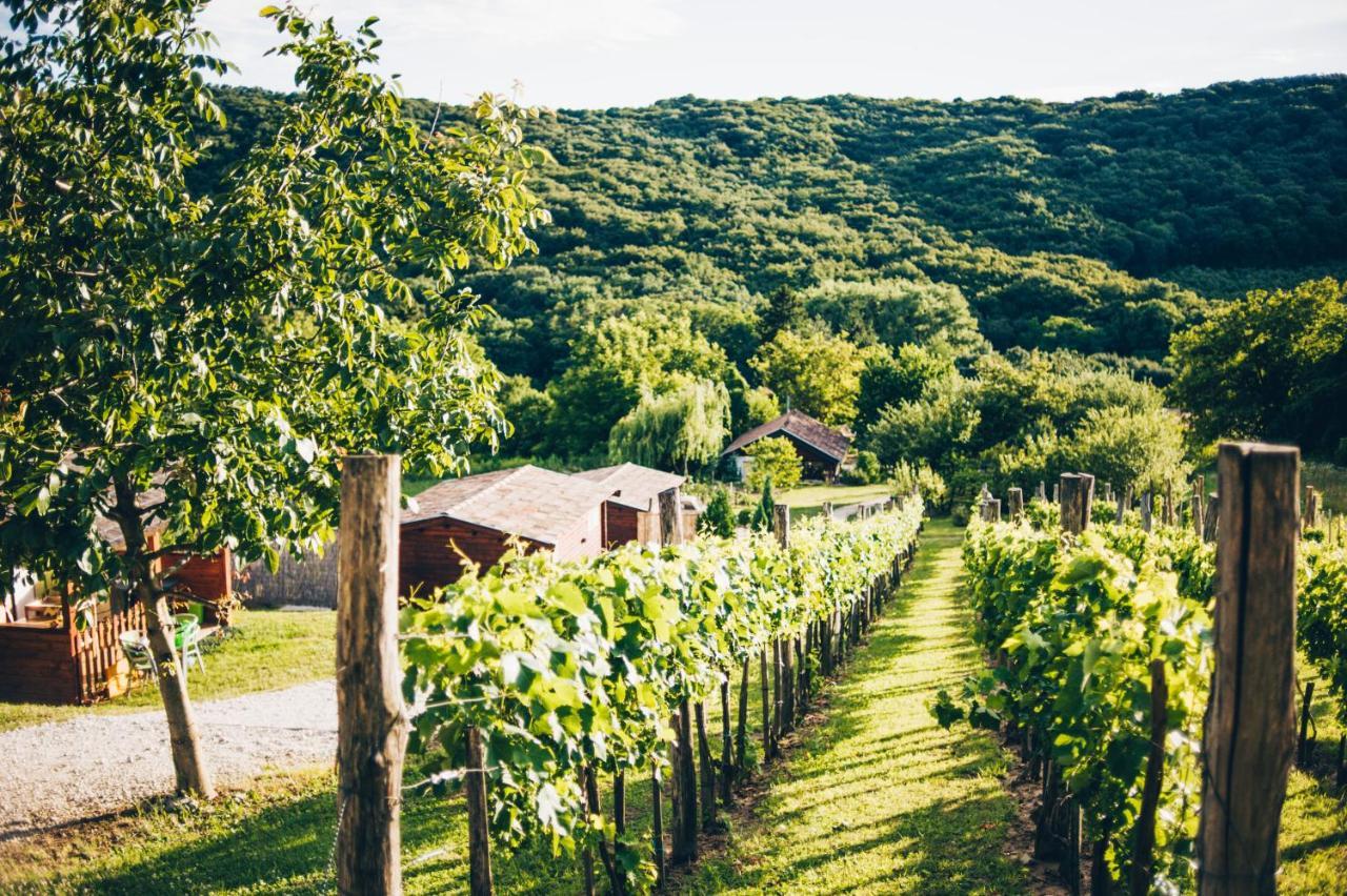 Dutch Hill Panzió Zalacsány Kültér fotó