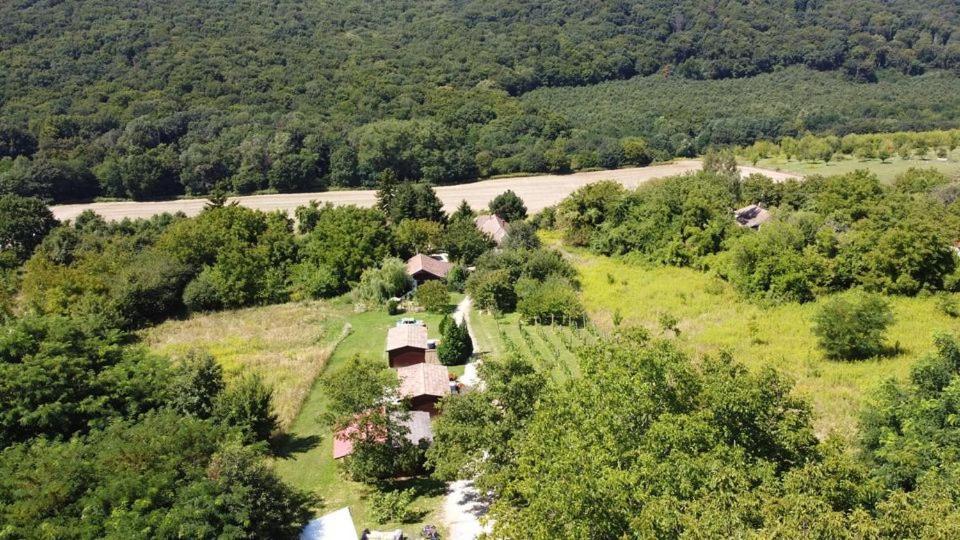 Dutch Hill Panzió Zalacsány Kültér fotó